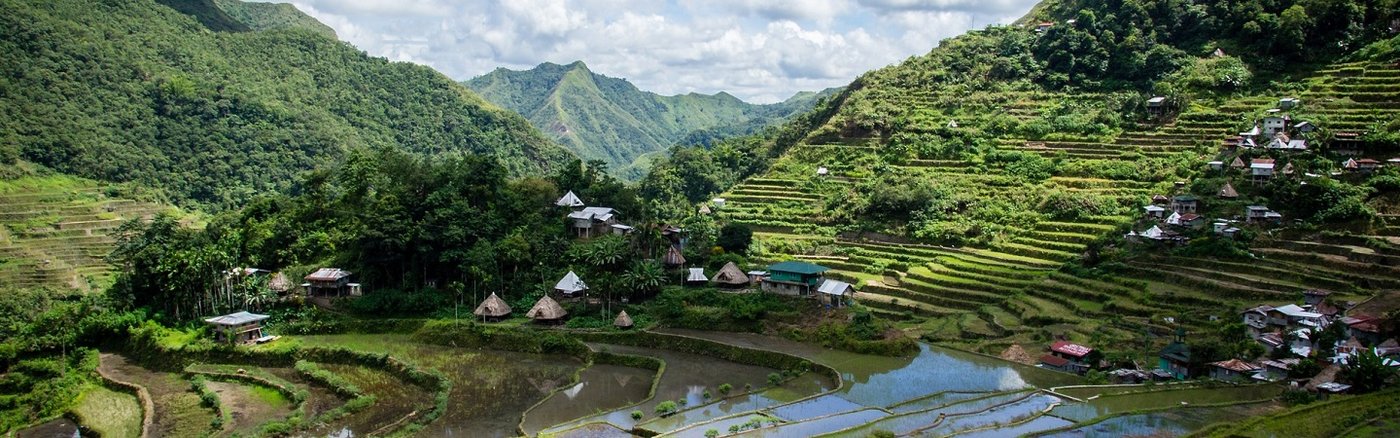 Auf dem Bild sieht man eine Reisterasse auf den Philippinen.