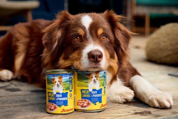 Josera Futter mit Hund