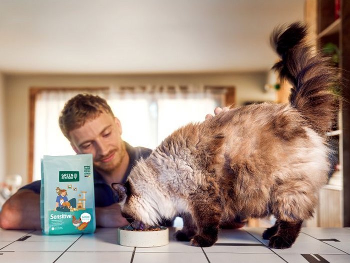 Das Bild zeigt eine Katze beim Fressen