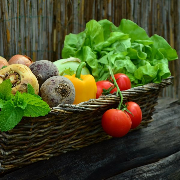 Ein Korb voller Gemüse: Tomaten, Salat, Rote Beete und Paprika. 