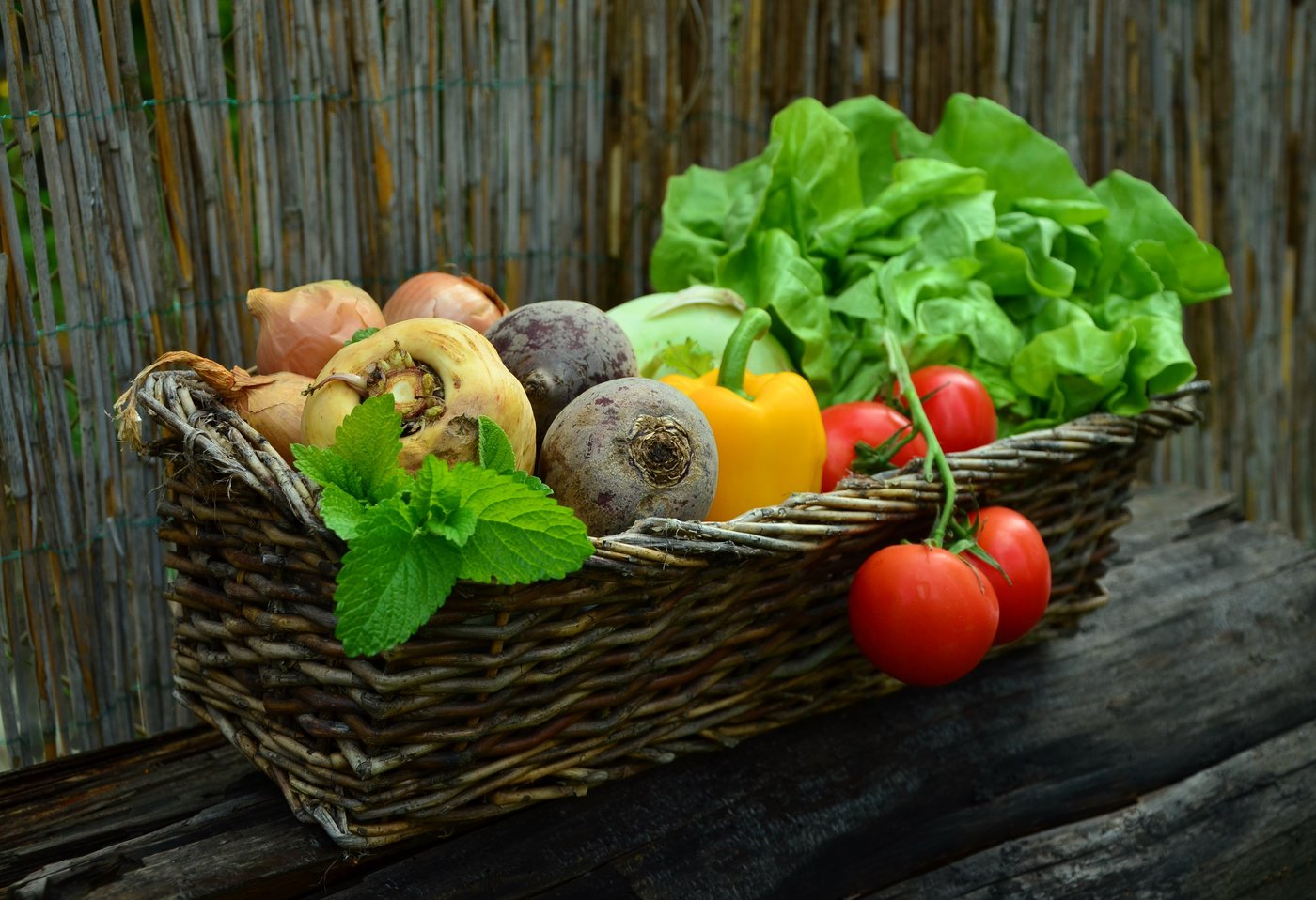 Ein Korb voller Gemüse: Tomaten, Salat, Rote Beete und Paprika. 