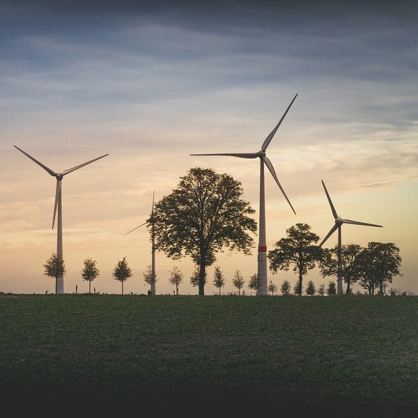 Landschaft mit Windkraftwerken