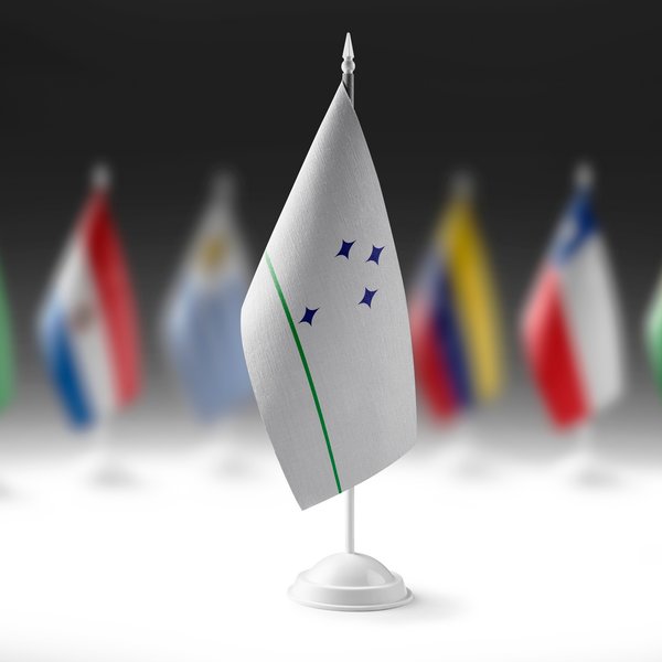 Die nationale Flagge des Mercosur auf dem Hintergrund der Flaggen anderer Länder