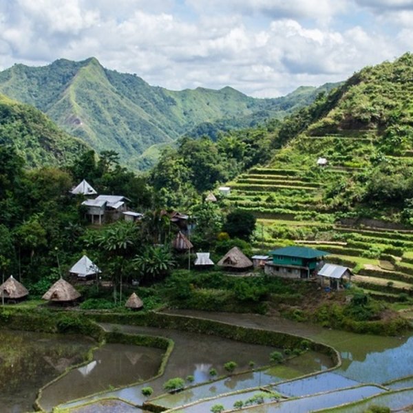 Auf dem Bild sieht man eine Reisterasse auf den Philippinen.